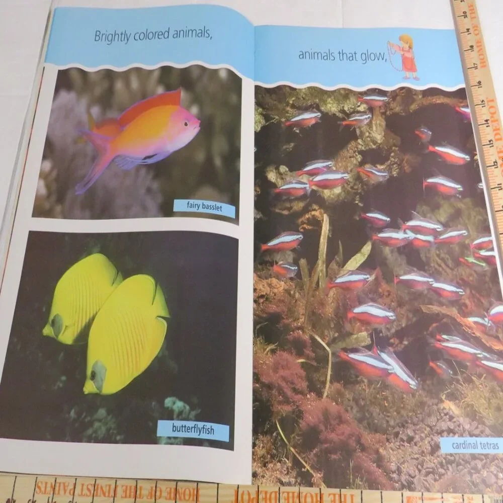 Under the Sea  BIG BOOK (almost 2 feet tall) with teacher pages CLASSROOM SIZE